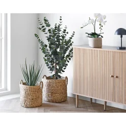 BOLIGINTERIØR EUKALYPTUS TRÆ KUNSTIG PLANTE 120 CM