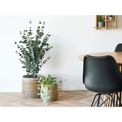 BOLIGINTERIØR EUKALYPTUS TRÆ KUNSTIG PLANTE 120 CM