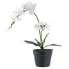 BOLIGINTERIØR ORKIDE KUNSTIG PLANTE 49 CM