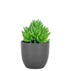 BOLIGINTERIØR SUKULENT KUNSTIG PLANTE 17 CM