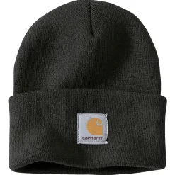 CARHARTT WATCH HAT/A18 HUE SORT OS