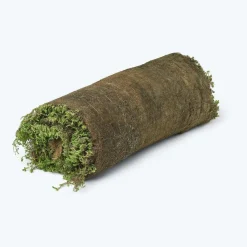 GROWTEK TIL HAVEN OG BUNDDÆKKE SEDUMMÅTTE
