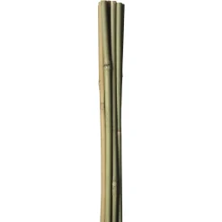 HOME IT GARDEN BAMBUSPINDE 60 CM