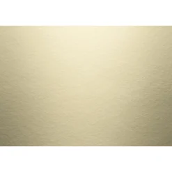 JAMES HARDIE GLAT HARDIEPLANK 8 X 180 X 3600 MM BEIGE