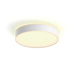 PHILIPS HUE WA ENRAVE M PLAFOND 19W HVID 437 MM