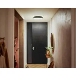 PHILIPS HUE WA ENRAVE M PLAFOND 19W SORT 437 MM