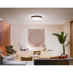 PHILIPS HUE WA ENRAVE XL PLAFOND 48W SORT 600 MM