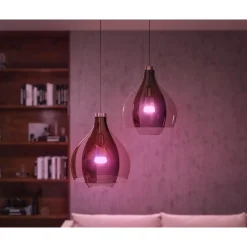 PHILIPS HUE WCA 2 X E27, BRIDGE & DIM. SWITCH STARTSÆT