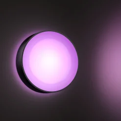PHILIPS HUE WCA DAYLO UDENDØRS VÆGLAMPE 15W SORT