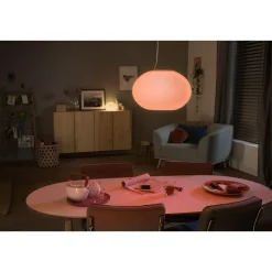 PHILIPS HUE WCA FLOURISH PENDEL HVID 40,1 CM