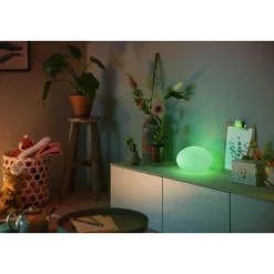 PHILIPS HUE WCA FLOURISH BORDLAMPE HVID 26,1 CM