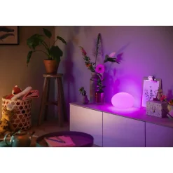 PHILIPS HUE WCA FLOURISH BORDLAMPE HVID 26,1 CM