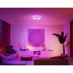 PHILIPS HUE WCA INFUSE PLAFOND 34W HVID 380 MM