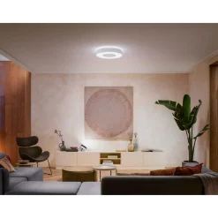 PHILIPS HUE WCA INFUSE PLAFOND 53W HVID 476 MM