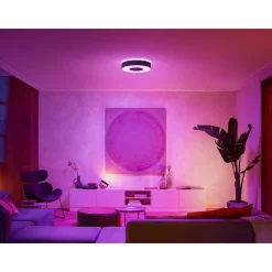 PHILIPS HUE WCA INFUSE PLAFOND 34W SORT 437 MM