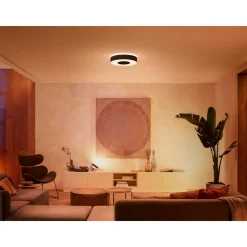 PHILIPS HUE WCA INFUSE PLAFOND 34W SORT 437 MM