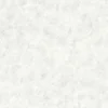RASCH STUDIO 2027 BETON TAPET 0,53X10 M